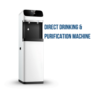 Direct Drinking & Purification Machine